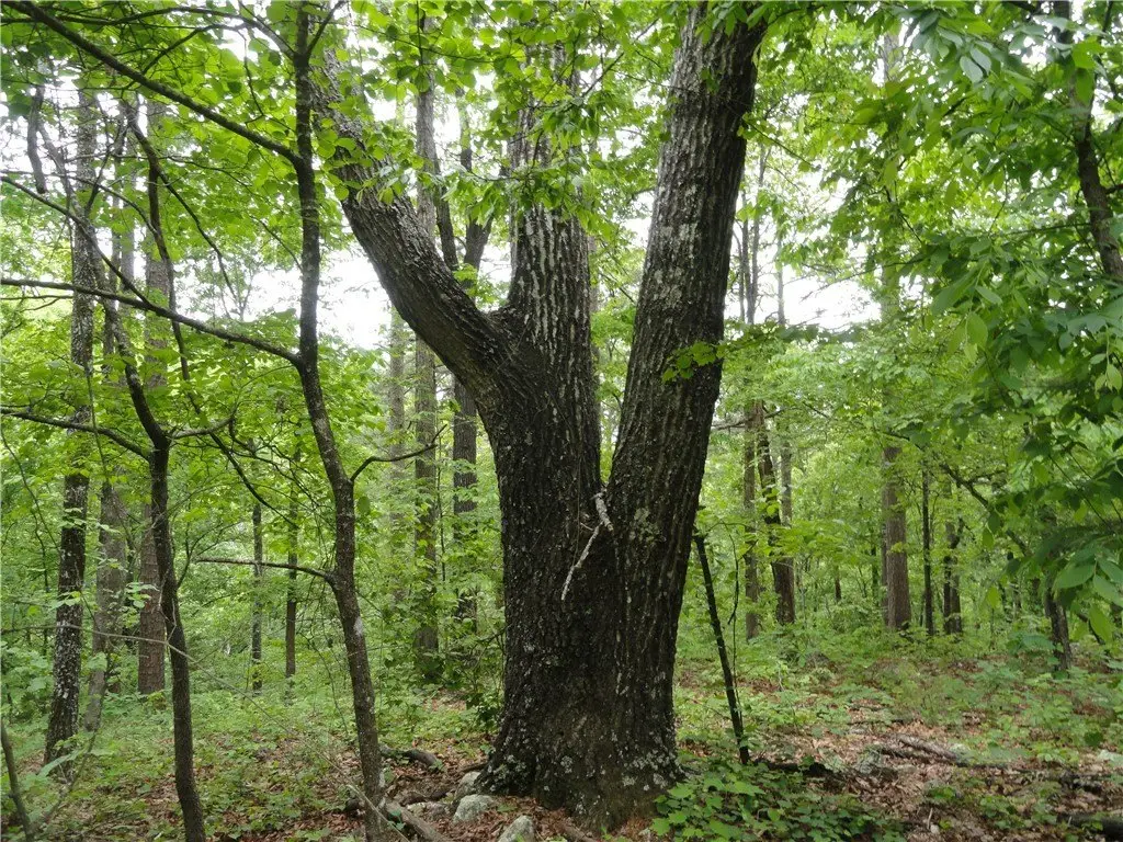 Picture 33