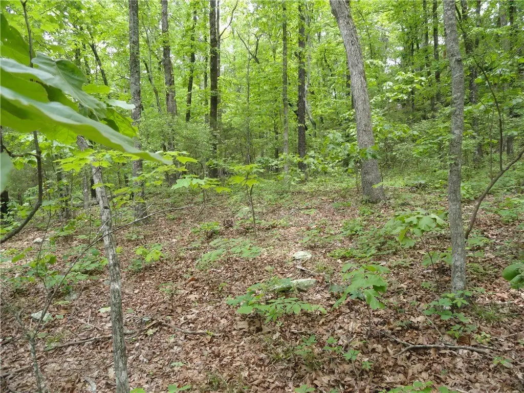 Picture 24