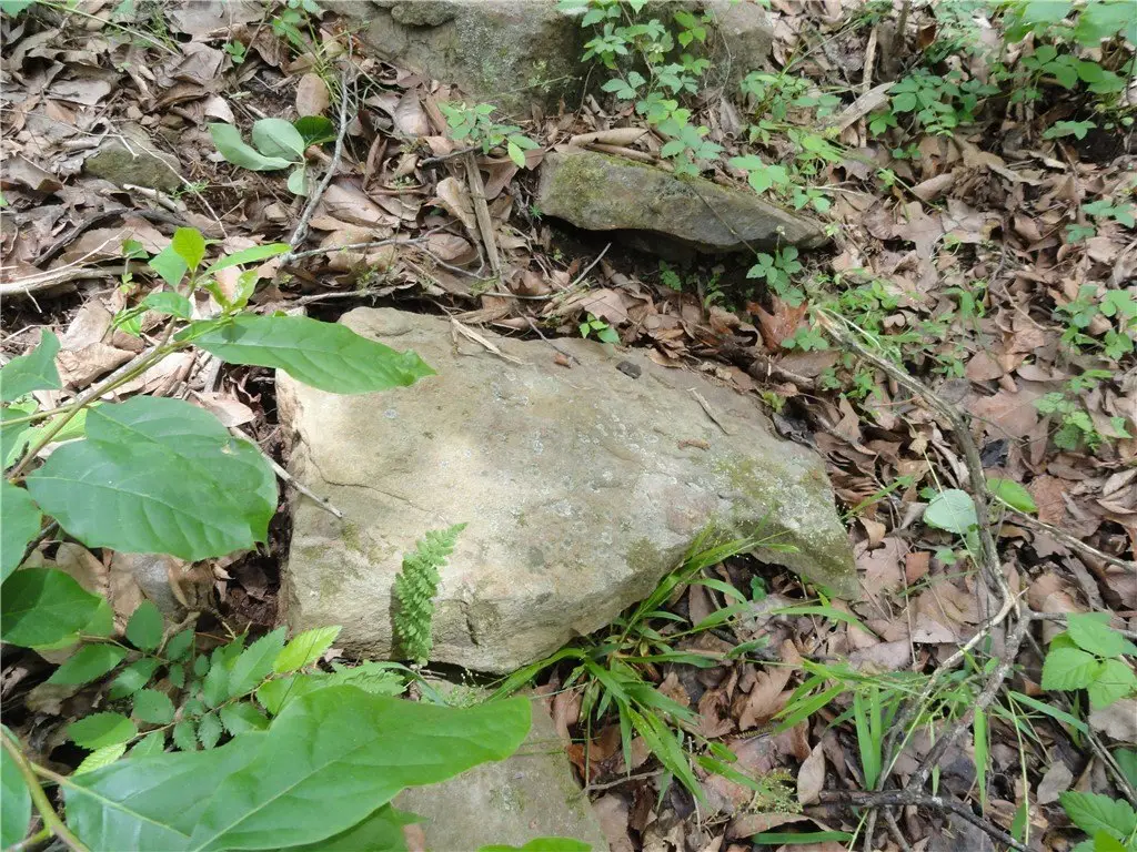 Picture 10