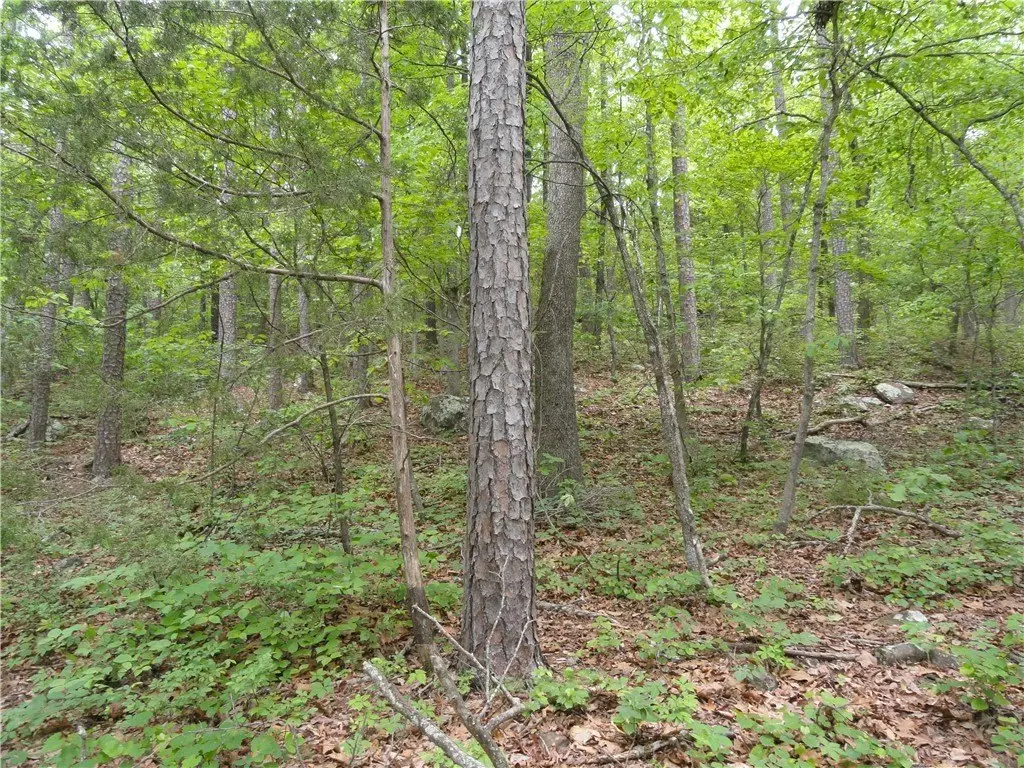 Picture 35
