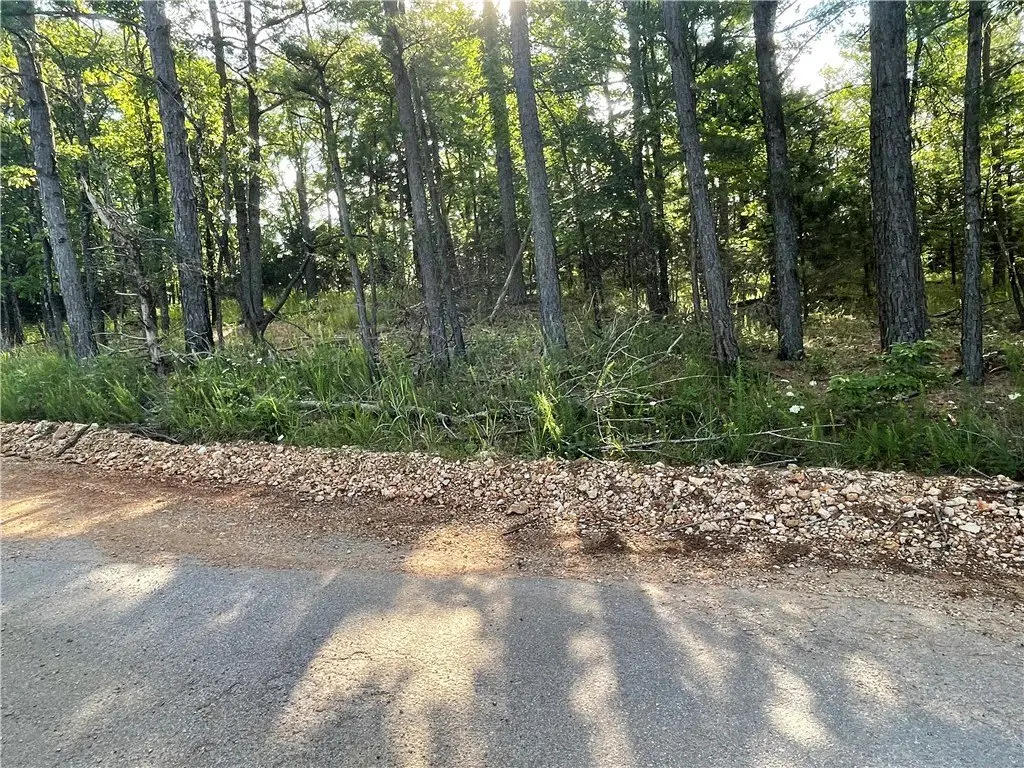 Picture 12