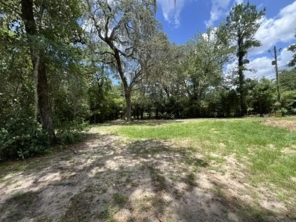 Picture 14