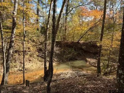 Arp, TX Acreage For Sale