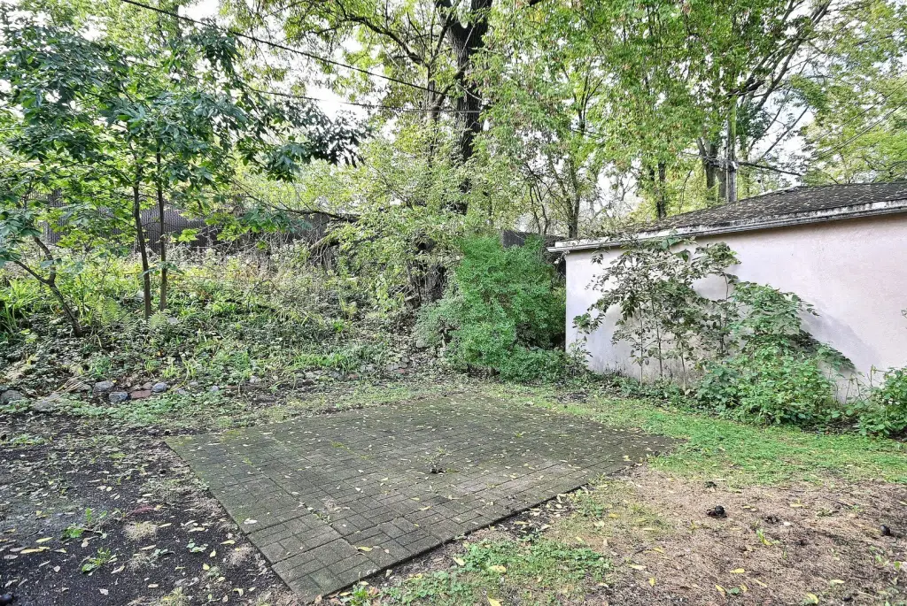 Picture 21