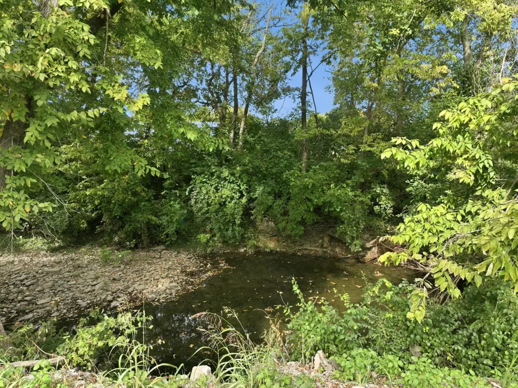 Picture 5