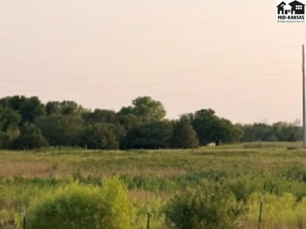 Picture 3