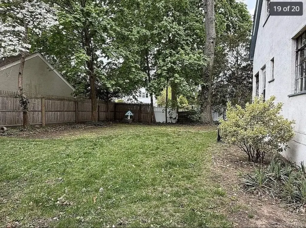 Picture 19