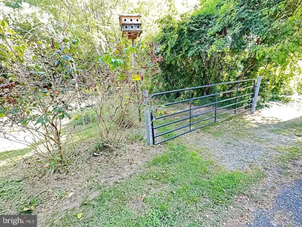 Picture 5