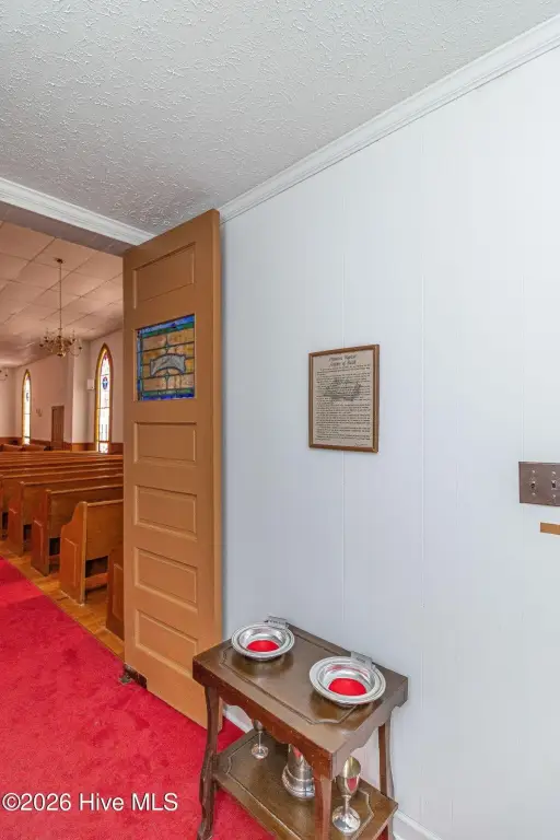 Picture 8