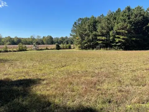Cottage Grove Acreage with Timber