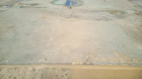 Abernathy, TX 20-Acre Land Tract