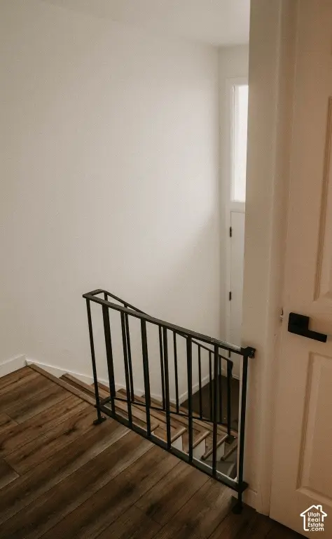 Picture 17
