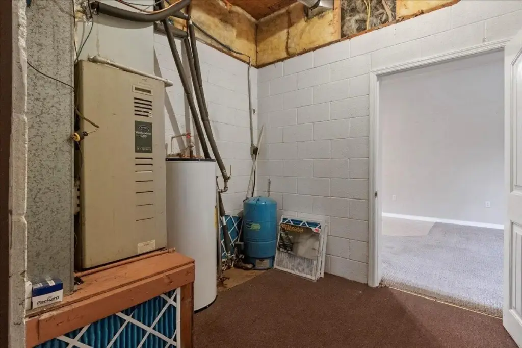 Picture 19