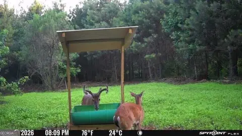 Hunting Land with Trail System