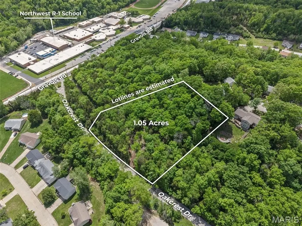 Picture 17