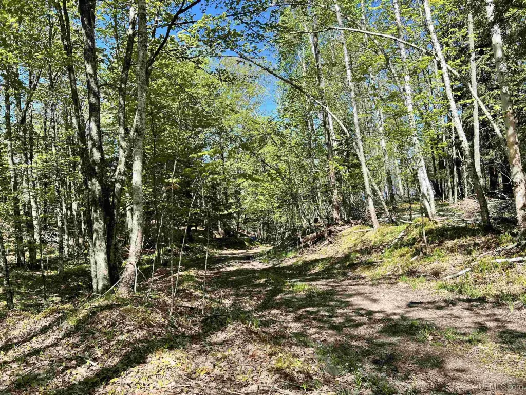 Picture 20