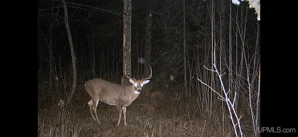 Picture 43
