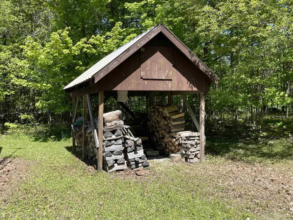 Picture 31