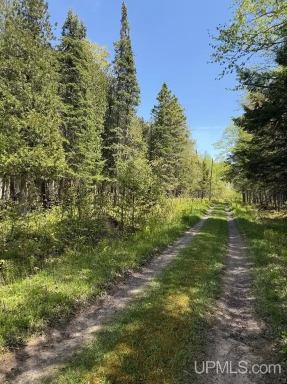Picture 22