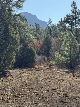 Land Ready for Your Home