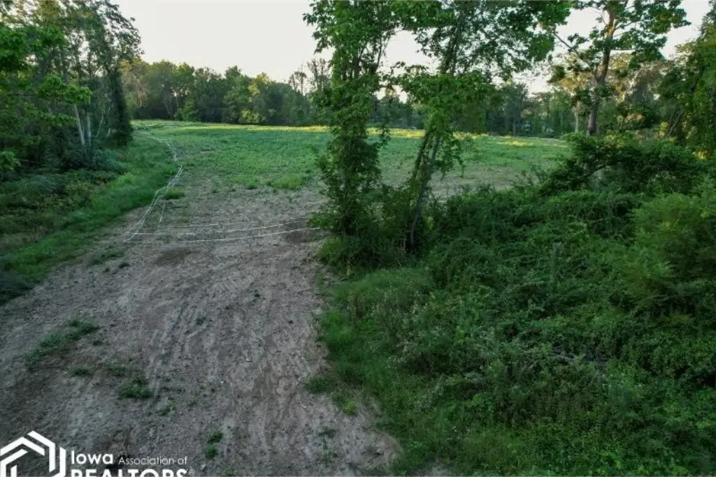 Picture 15