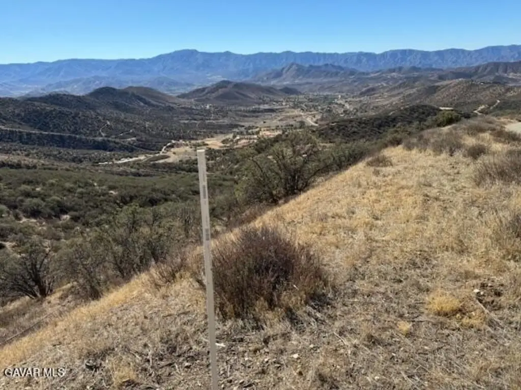 Picture 31