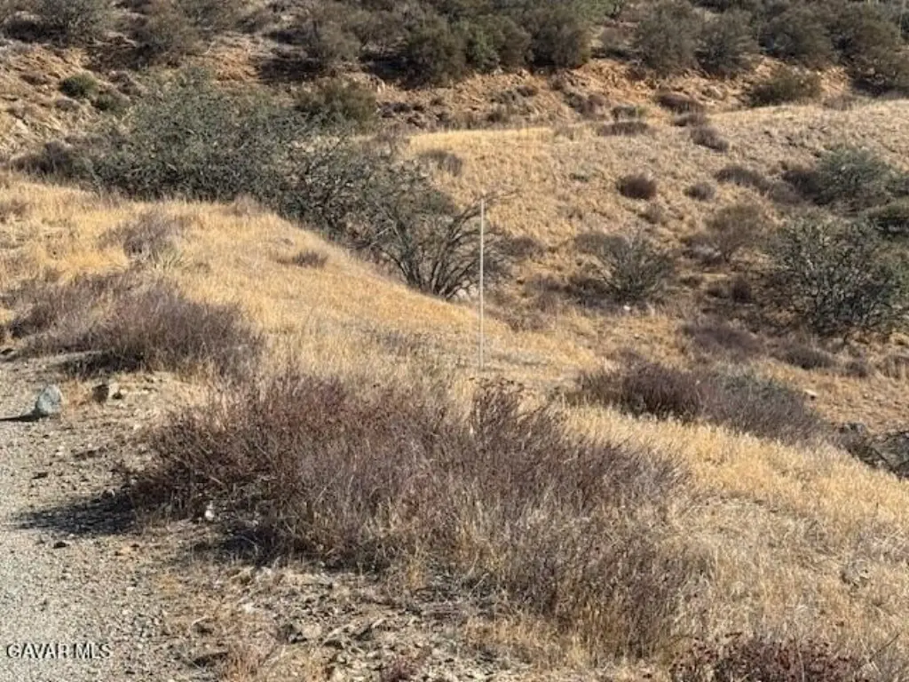 Picture 24