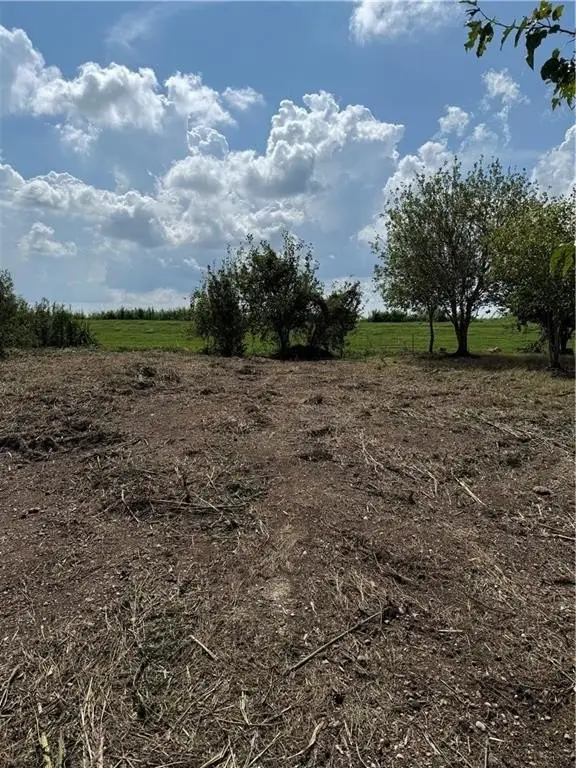 Picture 7