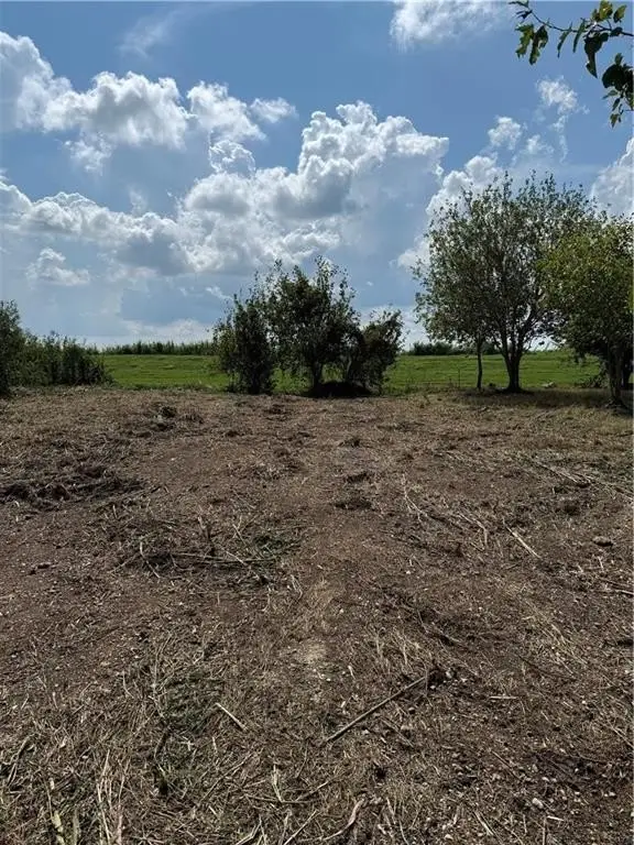 Picture 8
