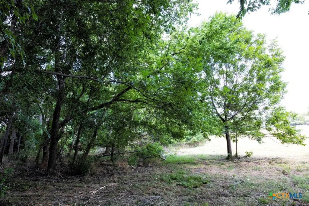 Picture 8