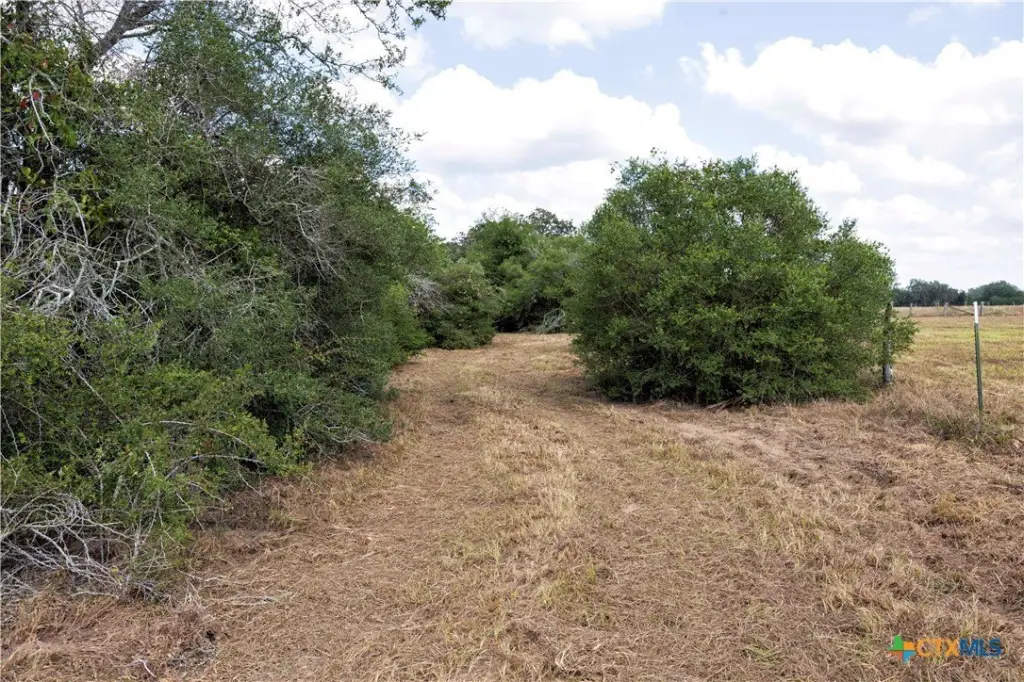 Picture 21