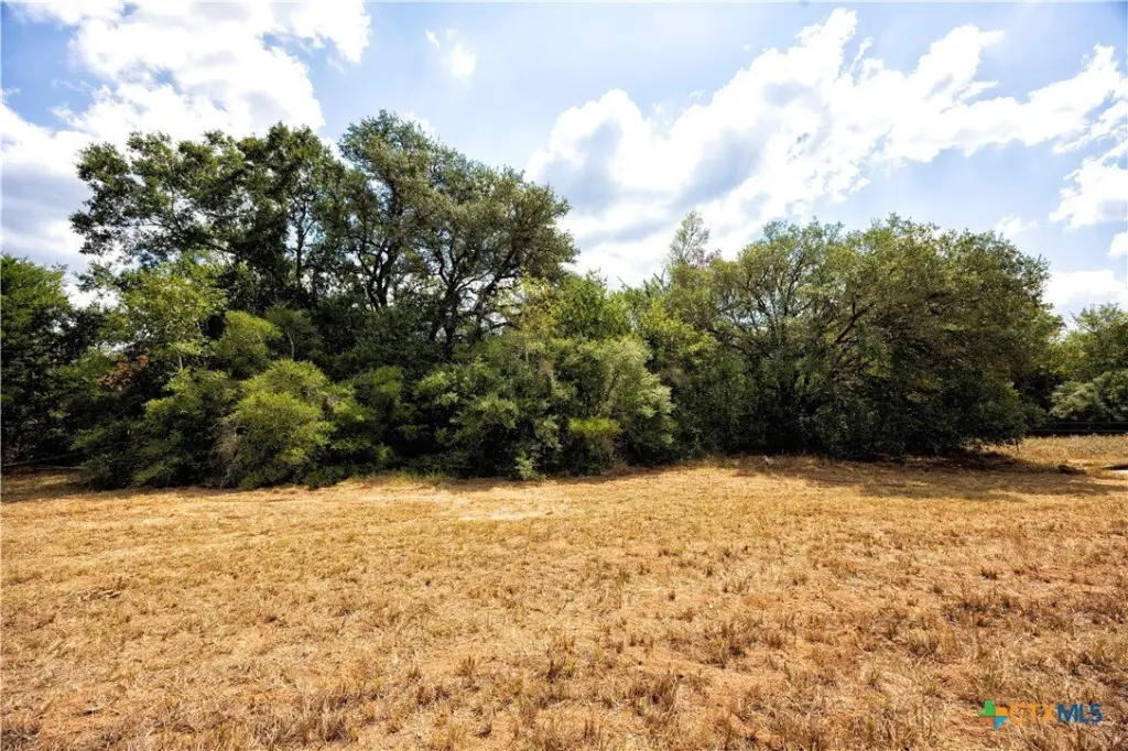 Picture 25