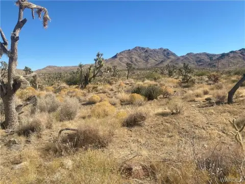 Dolan Springs Land For Sale