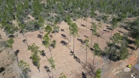 Spacious Residential Lot in Elberta