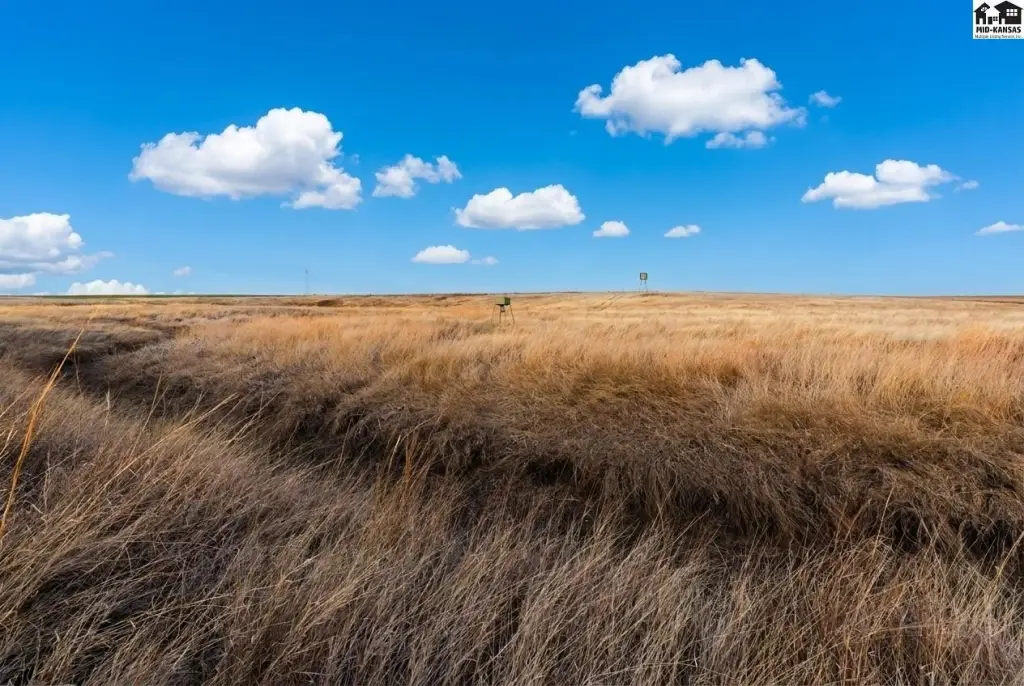 Picture 31