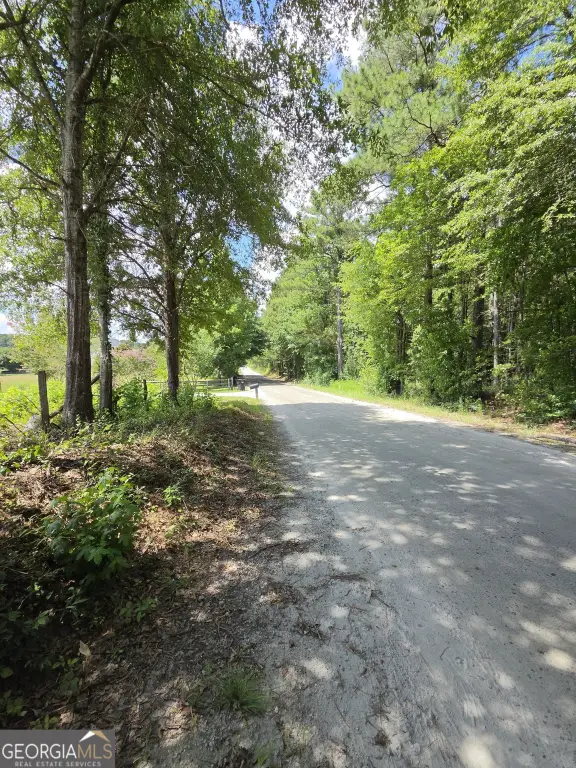 Picture 9