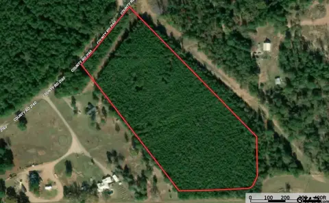 Texas Timber Tract Homesite