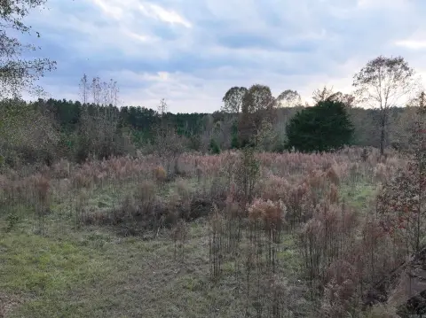 Wooded Acreage Ideal for Recreation