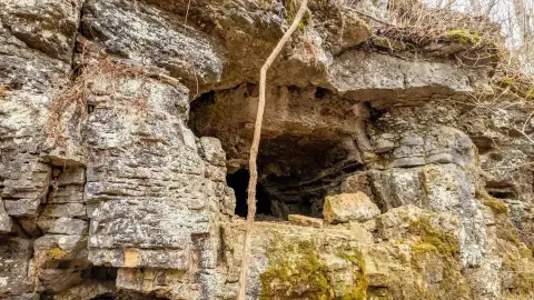 Secluded Ozarks Hunting and Recreation