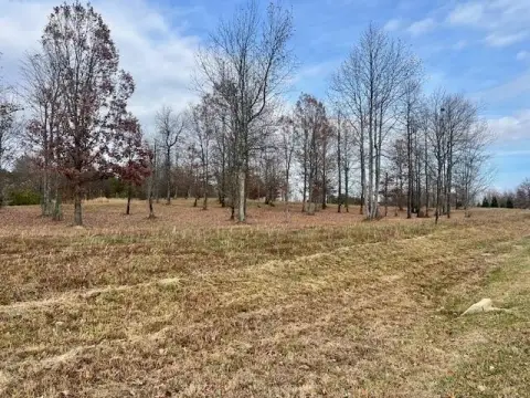 Jasper Highlands Land with Bluff View