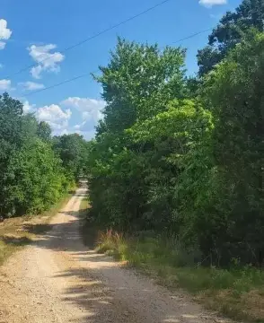 Land in Rural Tennessee Woods