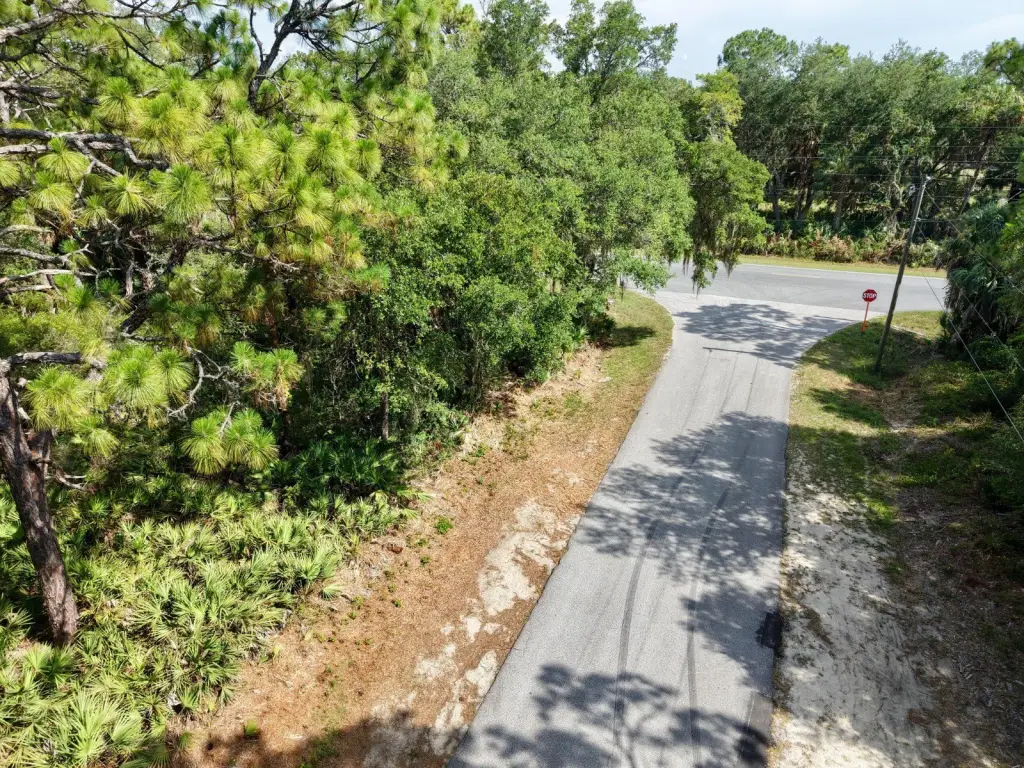 Picture 17
