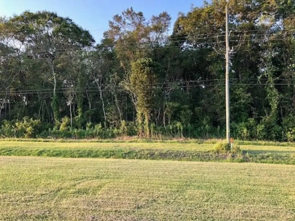 Picture 2