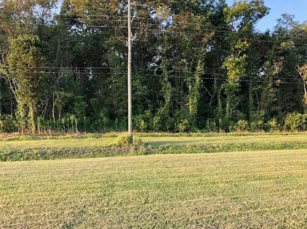 Picture 4
