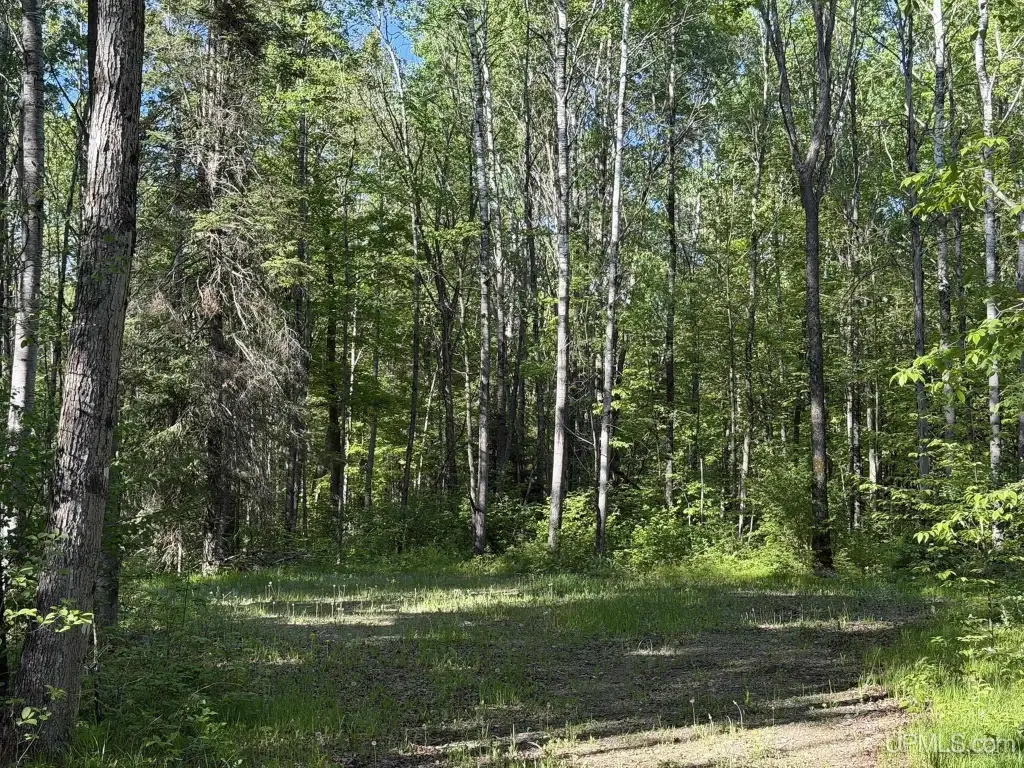 Picture 7