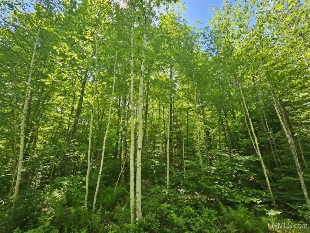 Picture 16