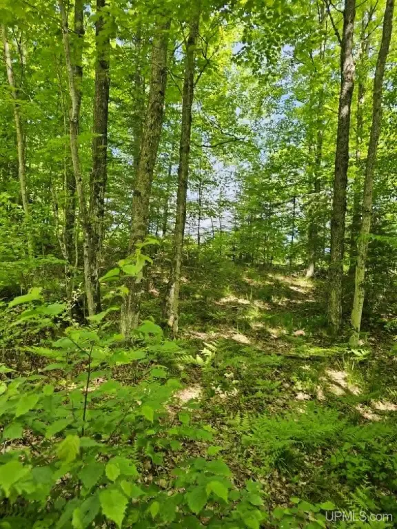 Picture 3