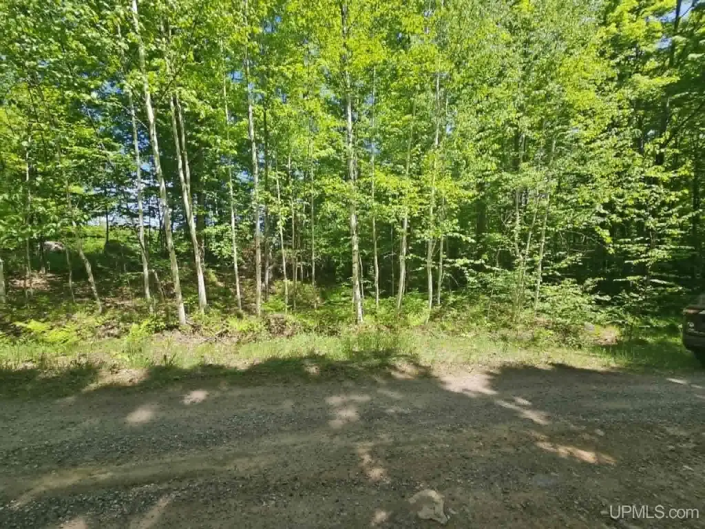 Picture 18