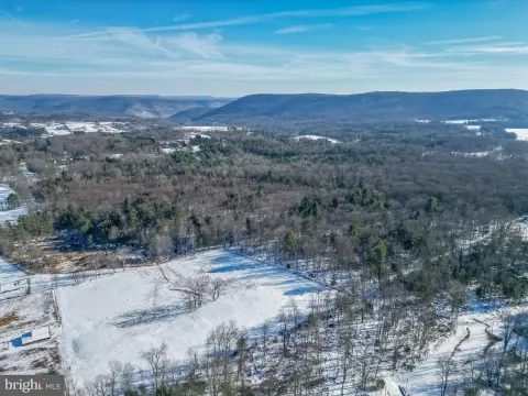Lycoming County Wooded Acreage