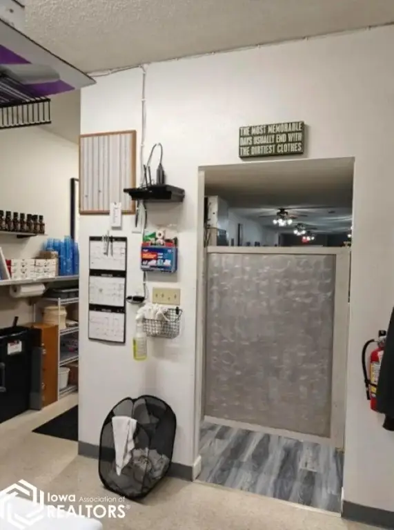 Picture 5
